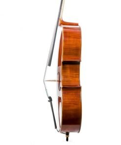 cello Muller Virtuoso